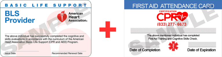 CPR and First Aid class training image
